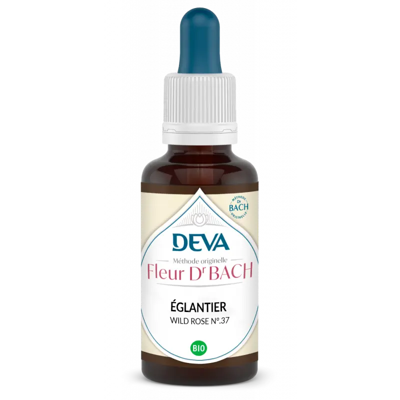 Fleurs de Bach - N°37 - Eglantier - Wild Rose 15 ml -Laboratoire DEVA