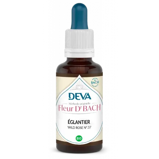 Fleurs de Bach - N°37 - Eglantier - Wild Rose 15 ml -Laboratoire DEVA