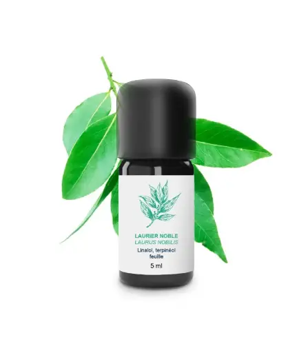 Huile essentielle - Laurier Noble 5 ml - Essenciagua