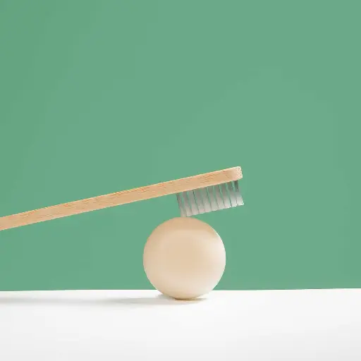 Wash Wash Cousin recharge dentifrice